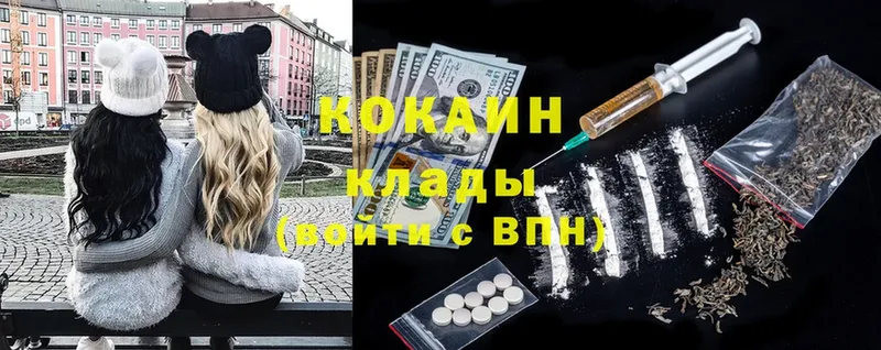 Кокаин Fish Scale  где продают наркотики  Каргат 