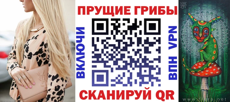 Галлюциногенные грибы Psilocybine cubensis  цена   Каргат 